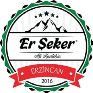 Göktürkler 1 Güvenlik referans logosu